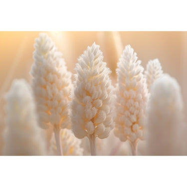 Large White Flower Canvas